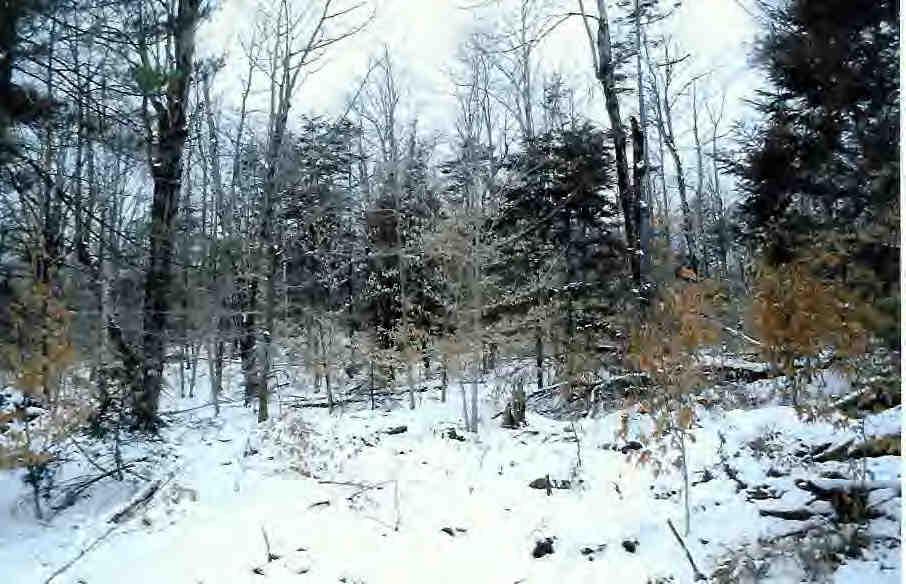 Lot#32.3-4 Mcnerney Road Becket, MA 01223 - Photo 2 of 2 Additional Photo