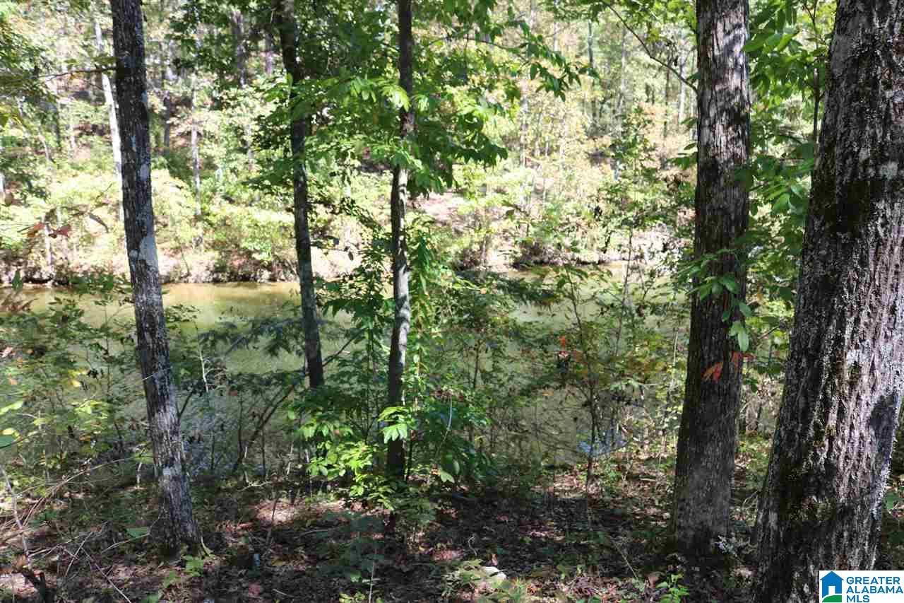 41 Fishers Way, Unit 41 Vincent, AL 35178 - Photo 4 of 6