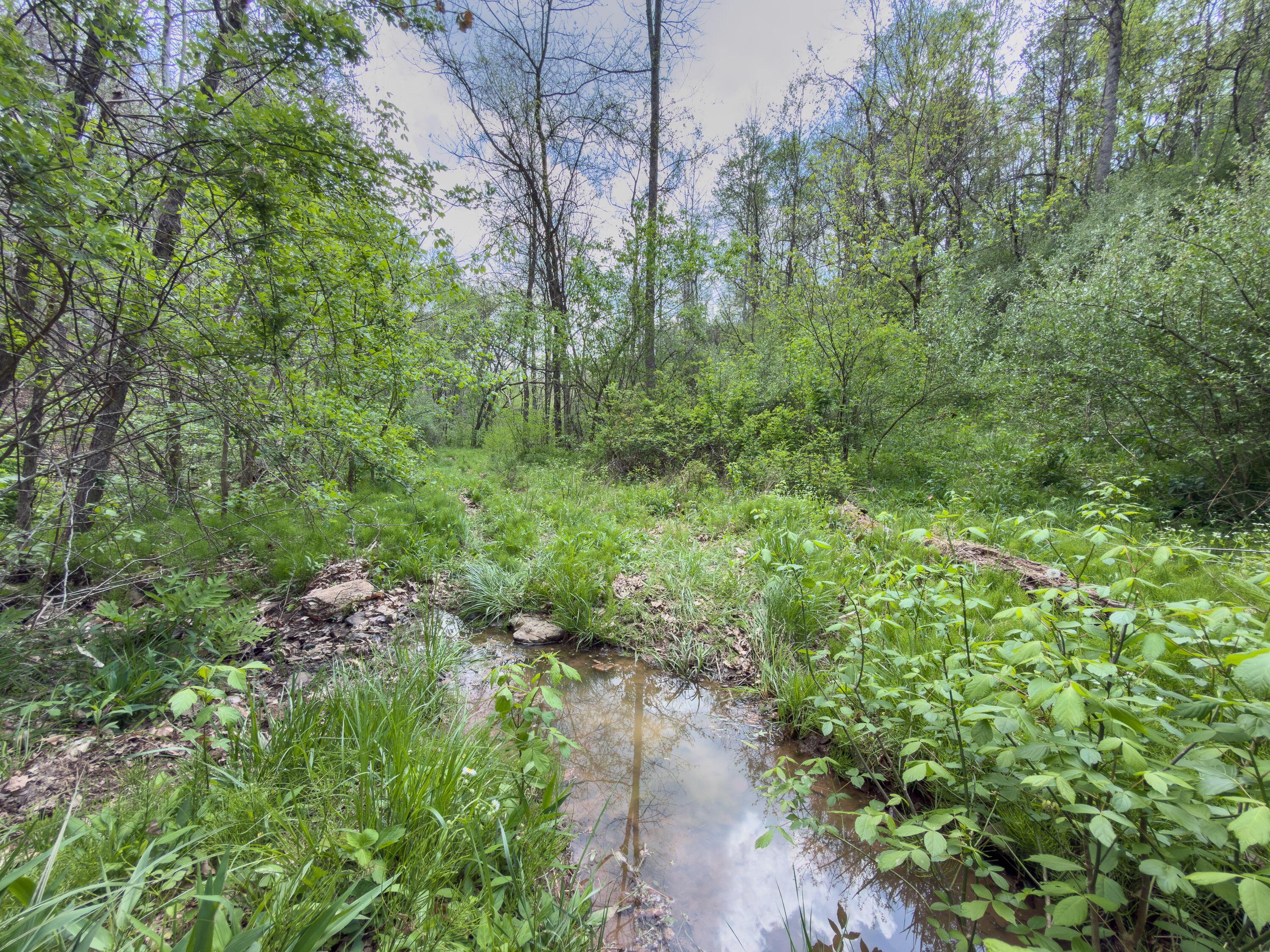 0 Beardmore Road Wingett Run, OH 45789 - Photo 34 of 43 beardmore rd-34