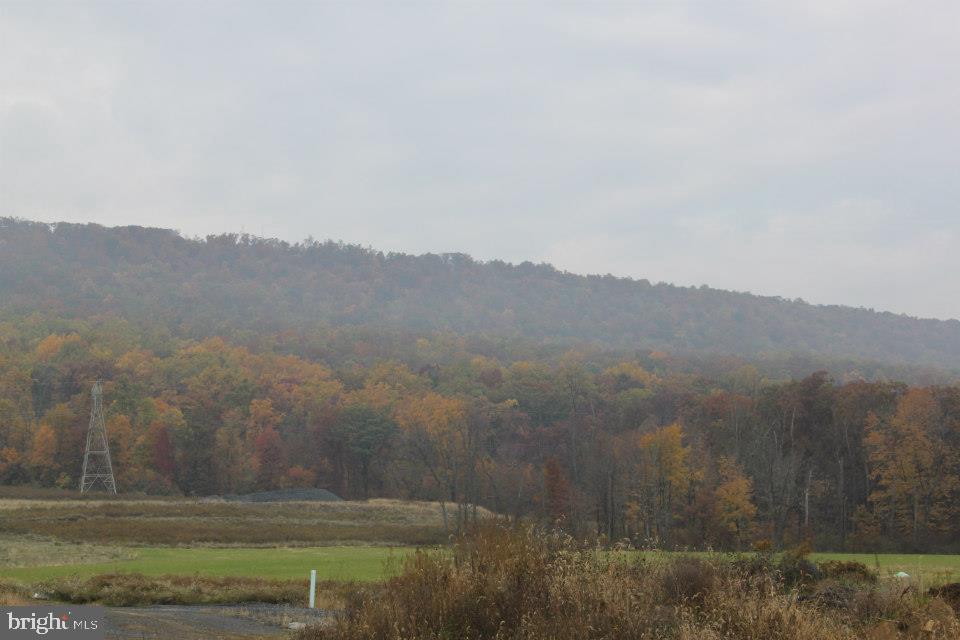 2713 Patton Road Harrisburg, PA 17112 - Photo 53 of 54 Views of the Blue Mountains!