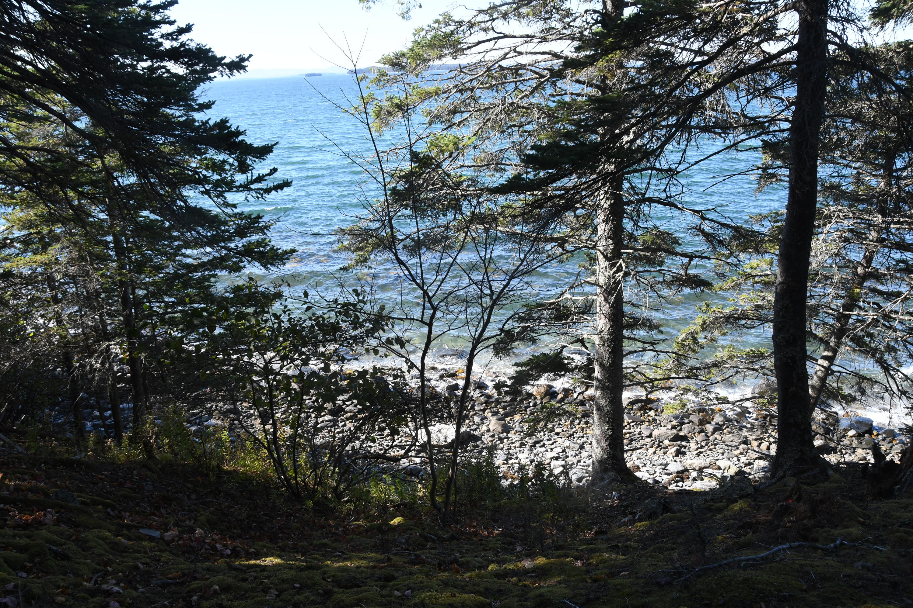 01 North Deer Isle Road Deer Isle, ME 04627 - Photo 4 of 34 20171021_AnneKeck_021