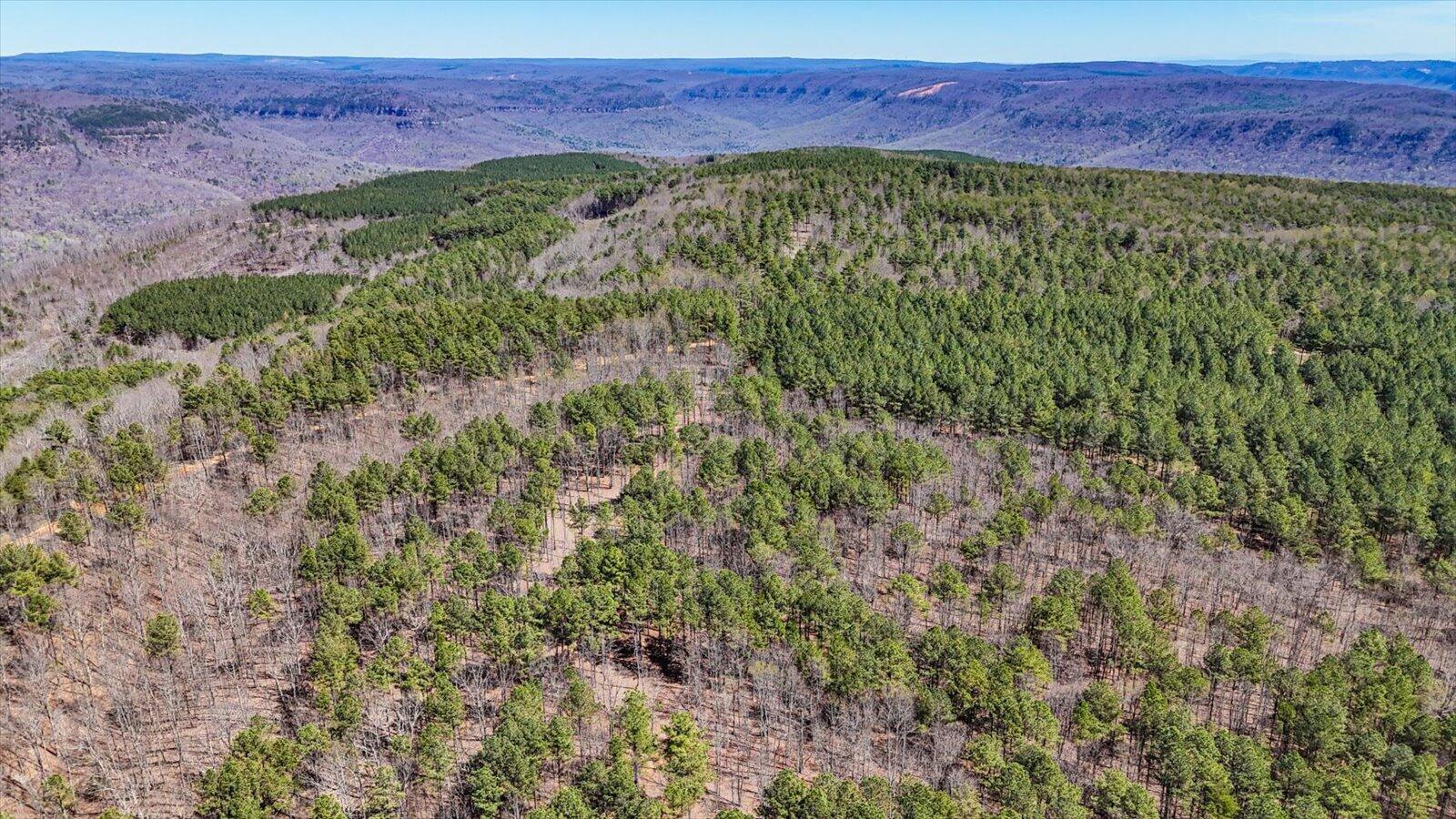 0 Slow Time Street Guild, TN 37340 - Photo 11 of 28 11-2103 Slow Time st-11