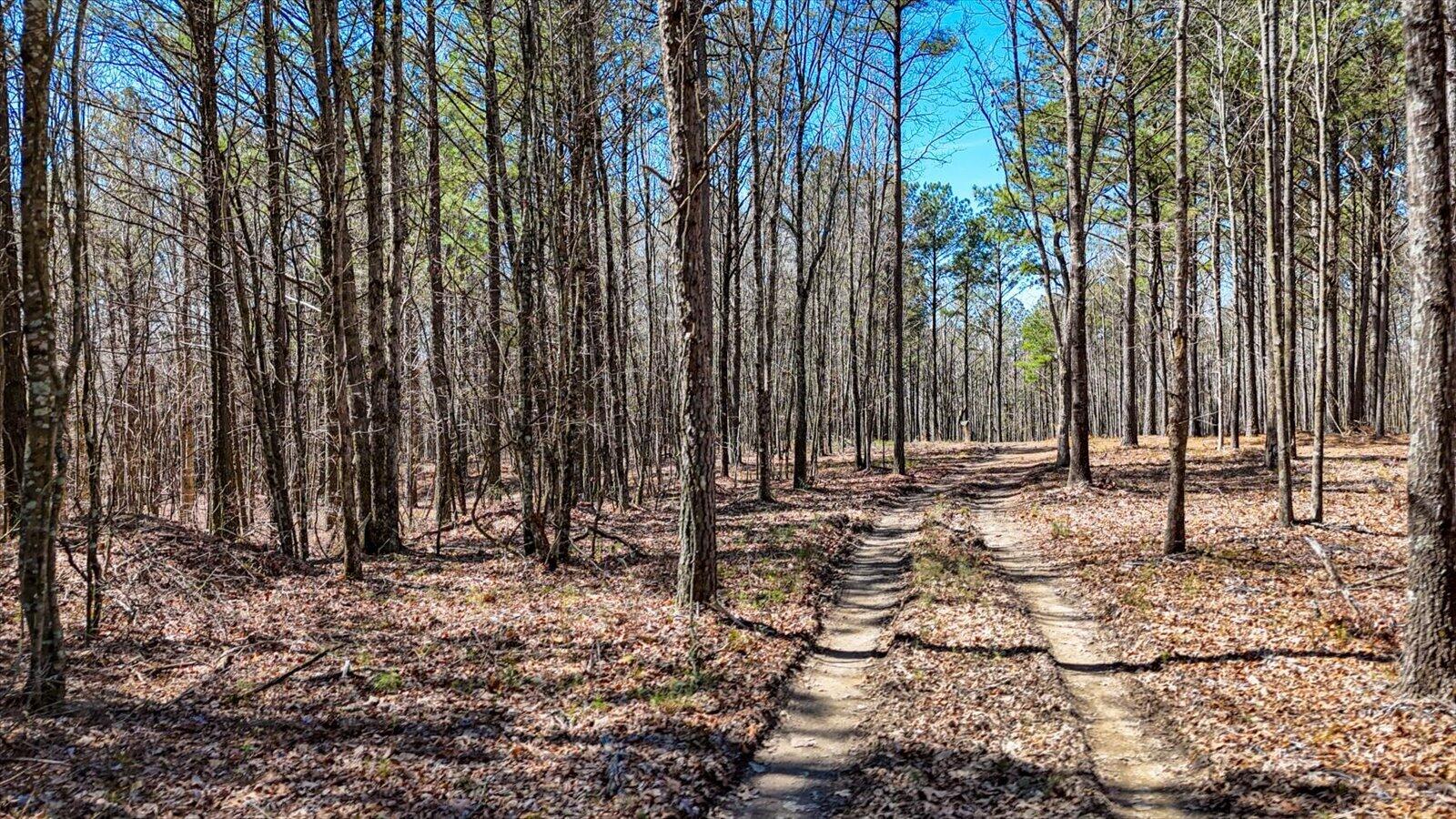 0 Slow Time Street Guild, TN 37340 - Photo 12 of 28 14-2103 Slow Time st-14