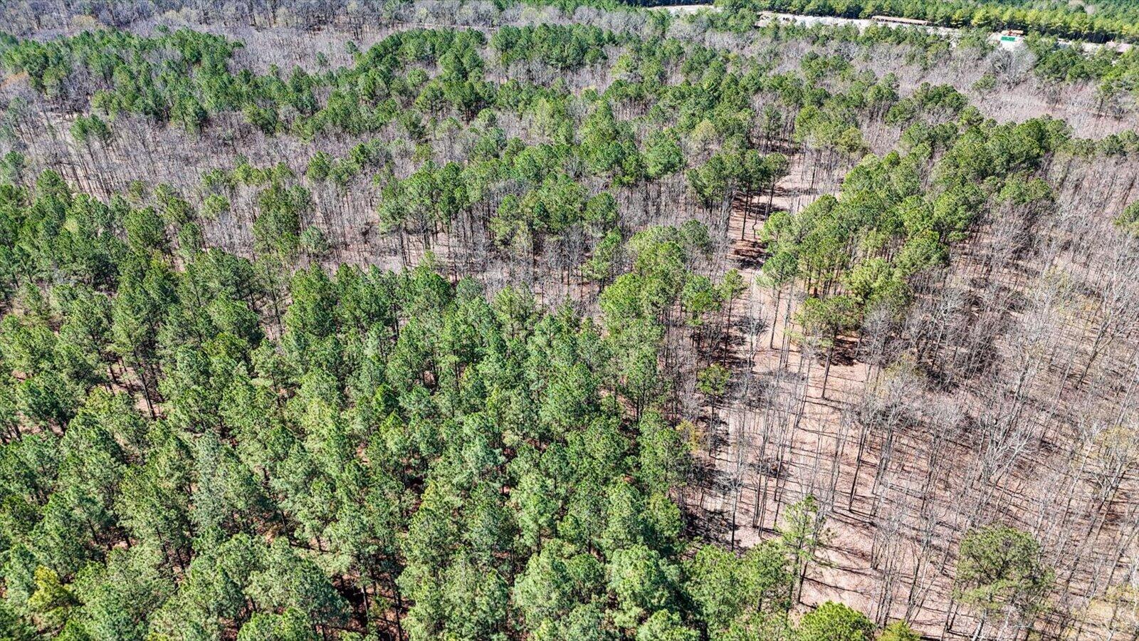 0 Slow Time Street Guild, TN 37340 - Photo 13 of 28 09-2103 Slow Time st-9