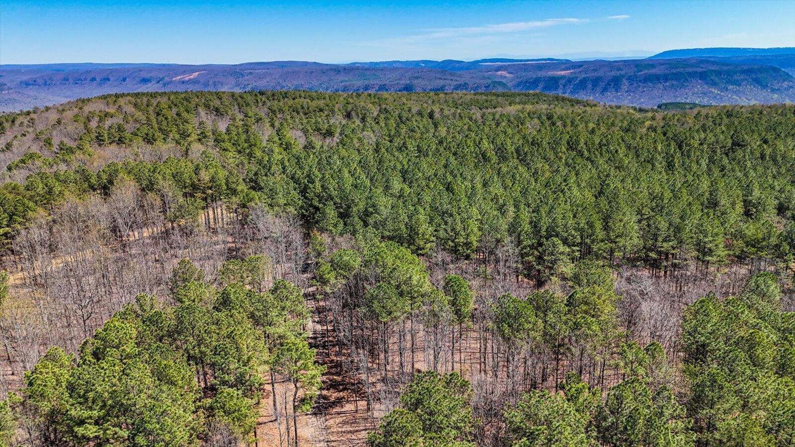 0 Slow Time Street Guild, TN 37340 - Photo 14 of 28 04-2103 Slow Time st-4