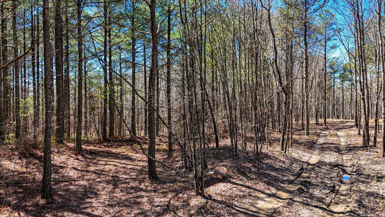 0 Slow Time Street Guild, TN 37340 - Photo 17 of 28 13-2103 Slow Time st-13