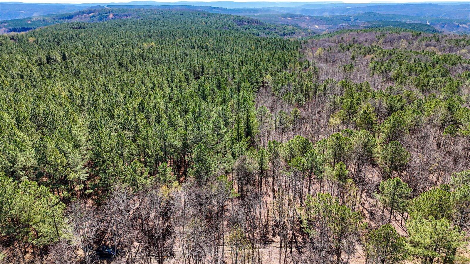 0 Slow Time Street Guild, TN 37340 - Photo 18 of 28 02-2103 Slow Time st-2