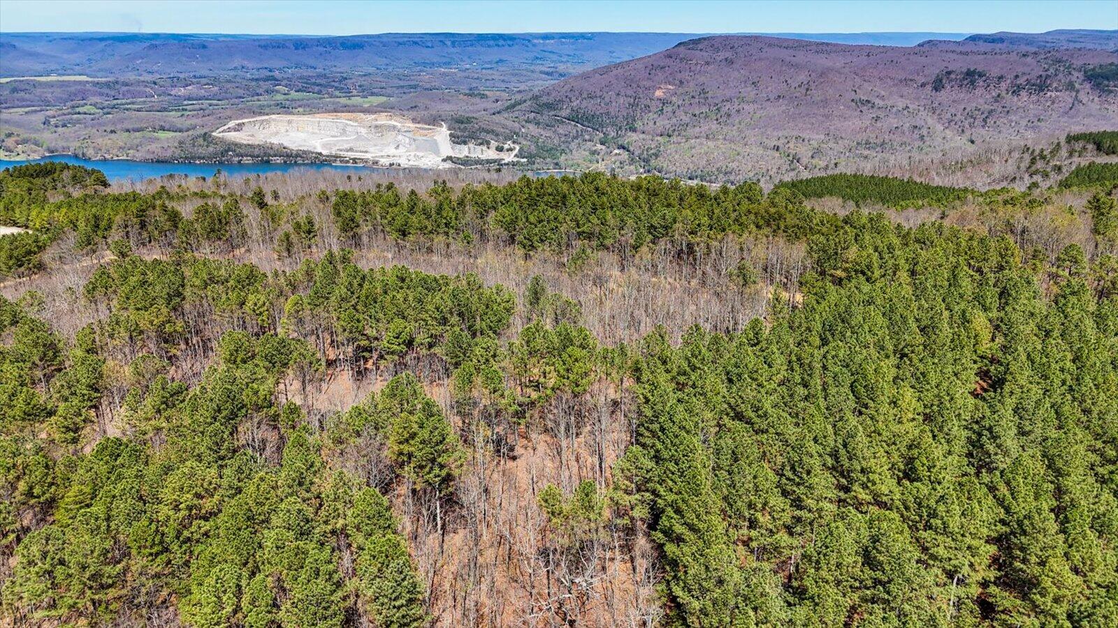 0 Slow Time Street Guild, TN 37340 - Photo 19 of 28 06-2103 Slow Time st-6