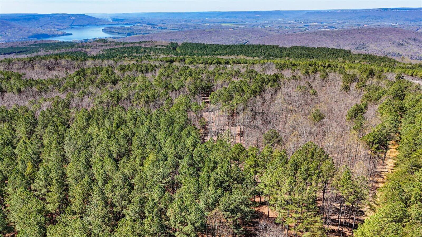 0 Slow Time Street Guild, TN 37340 - Photo 3 of 28 08-2103 Slow Time st-8