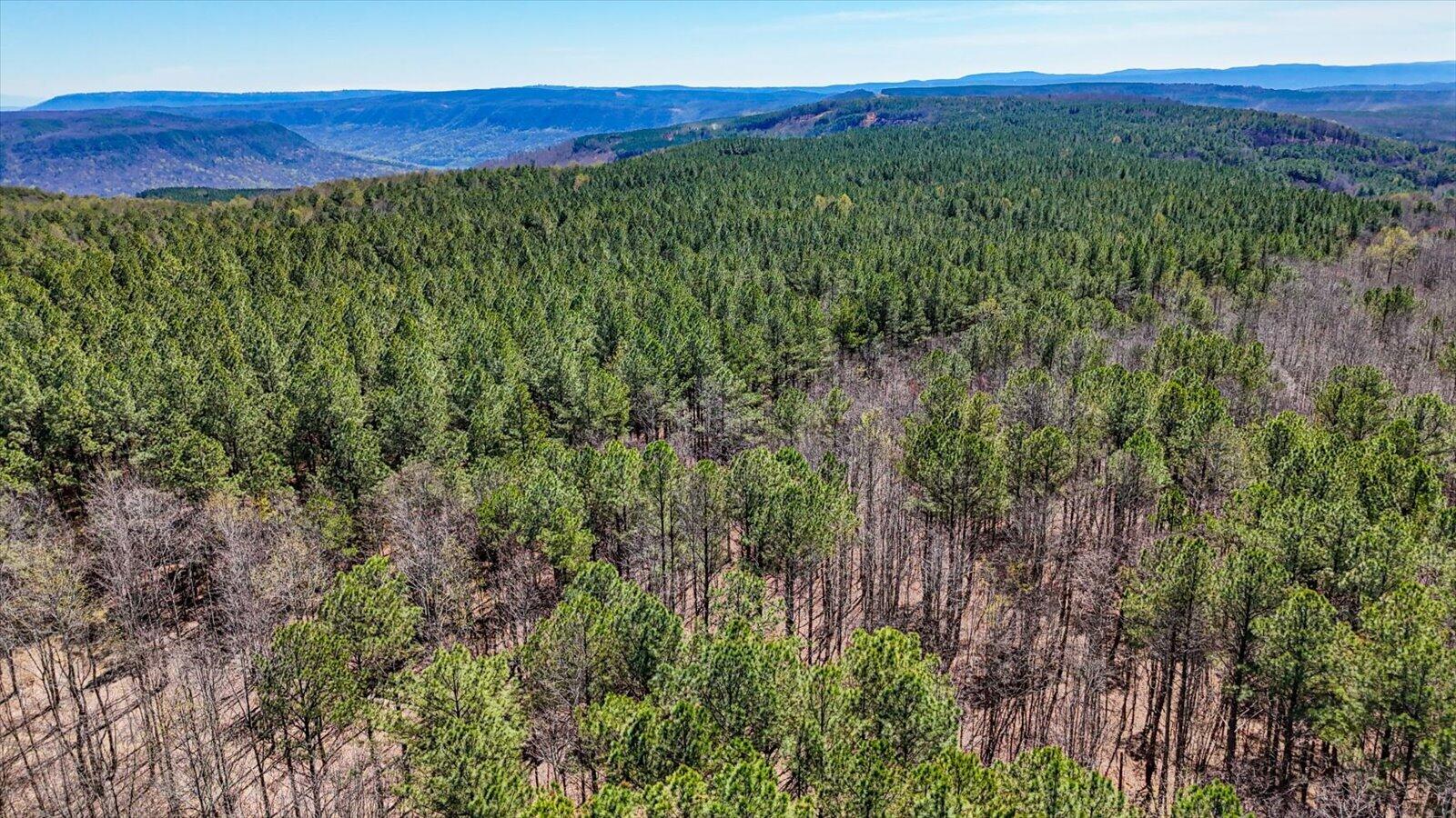 0 Slow Time Street Guild, TN 37340 - Photo 4 of 28 03-2103 Slow Time st-3