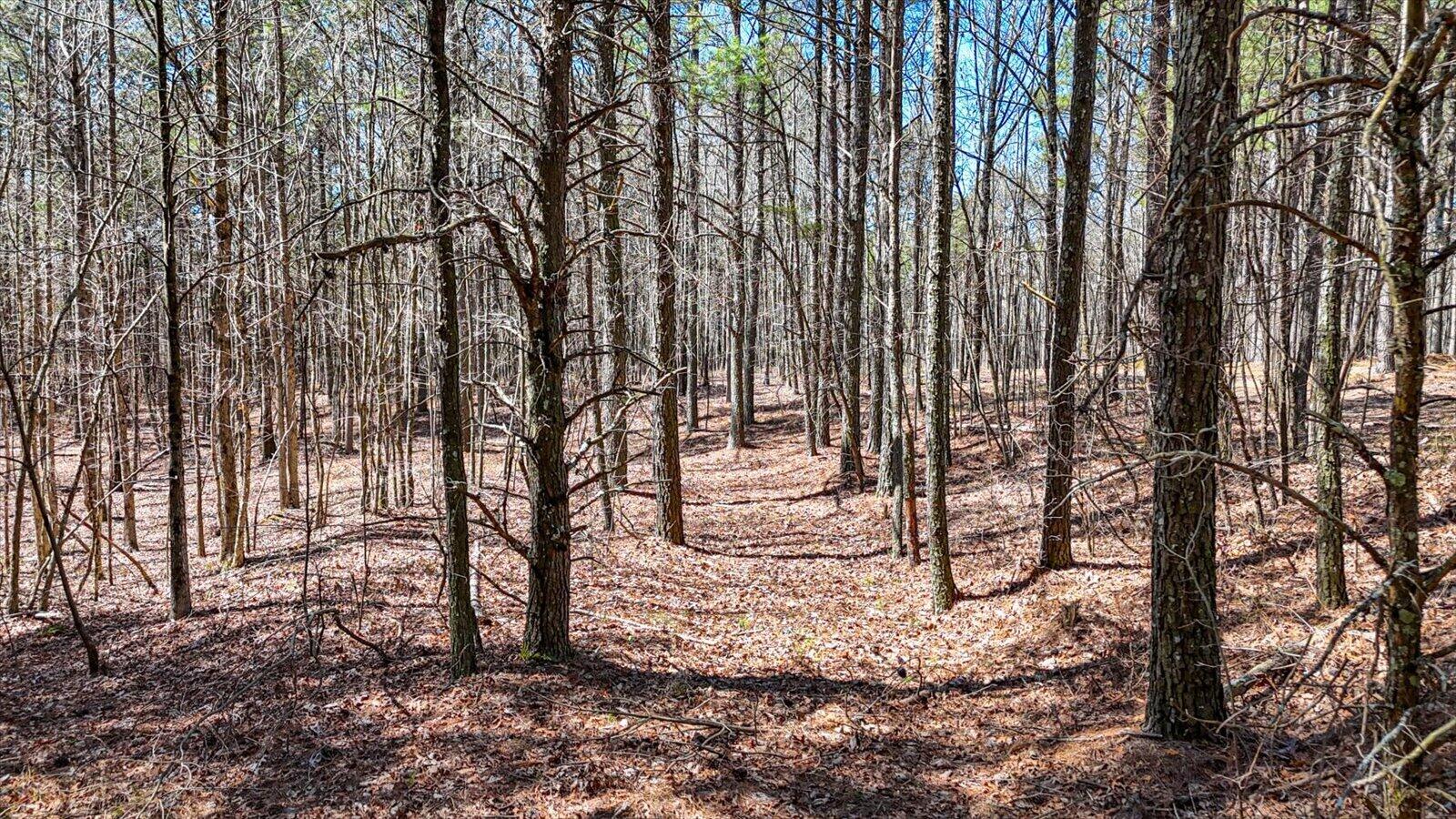 0 Slow Time Street Guild, TN 37340 - Photo 5 of 28 17-2103 Slow Time st-17