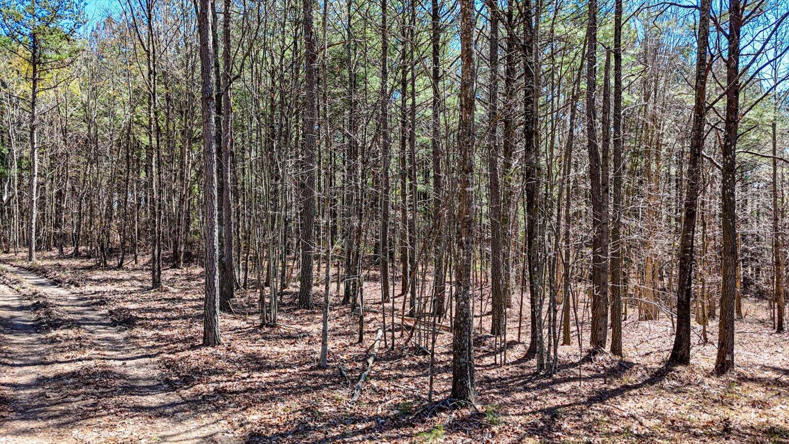 0 Slow Time Street Guild, TN 37340 - Photo 6 of 28 15-2103 Slow Time st-15