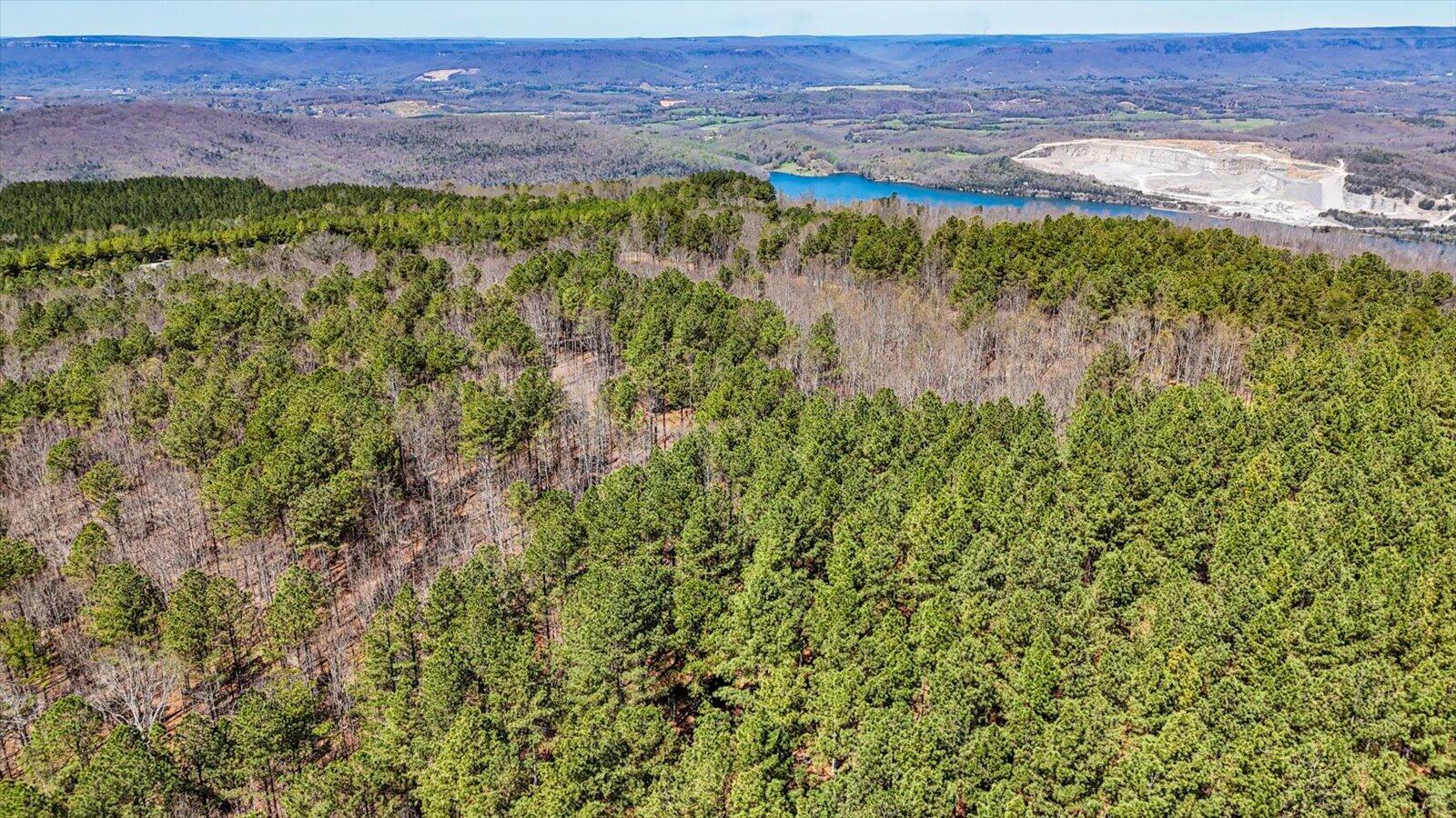 0 Slow Time Street Guild, TN 37340 - Photo 7 of 28 07-2103 Slow Time st-7