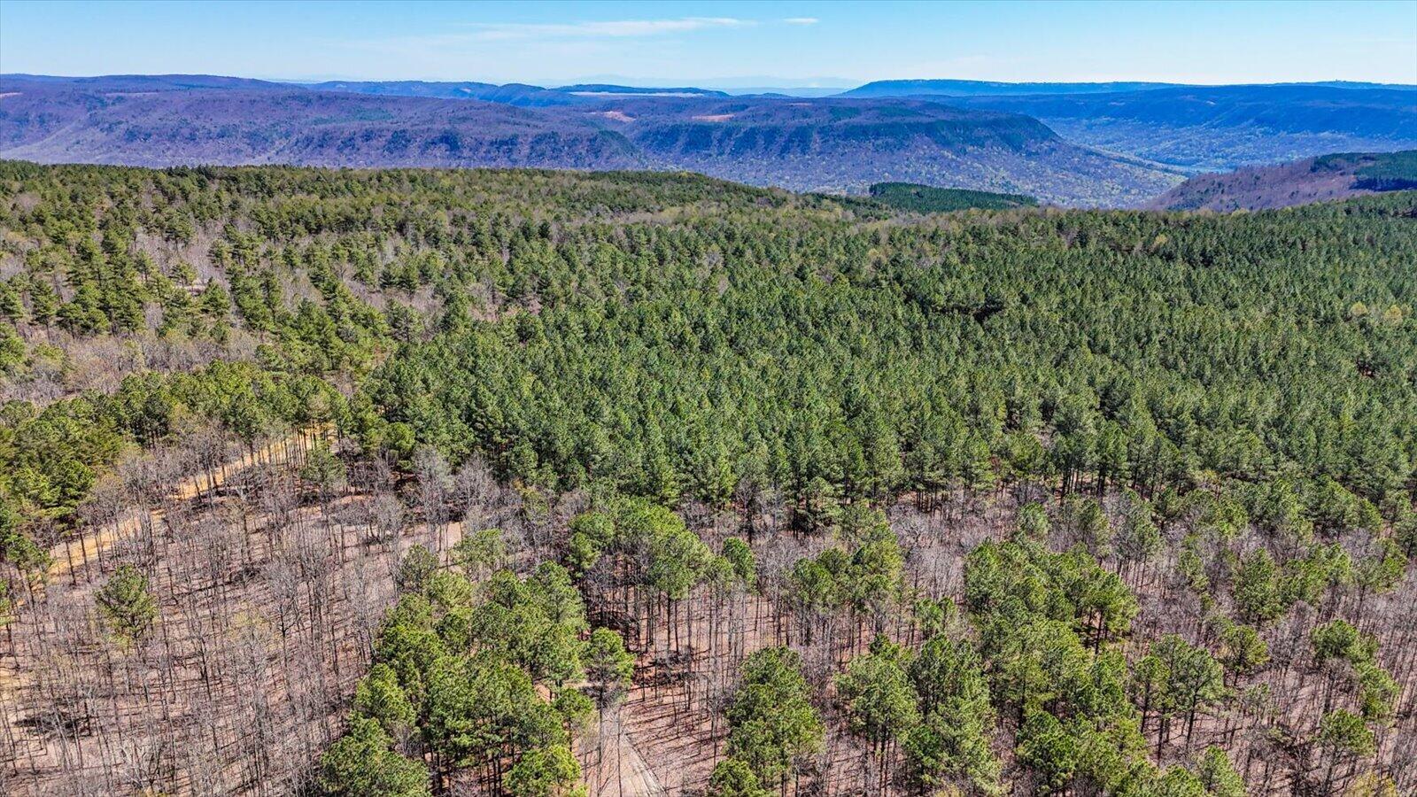 0 Slow Time Street Guild, TN 37340 - Photo 8 of 28 10-2103 Slow Time st-10