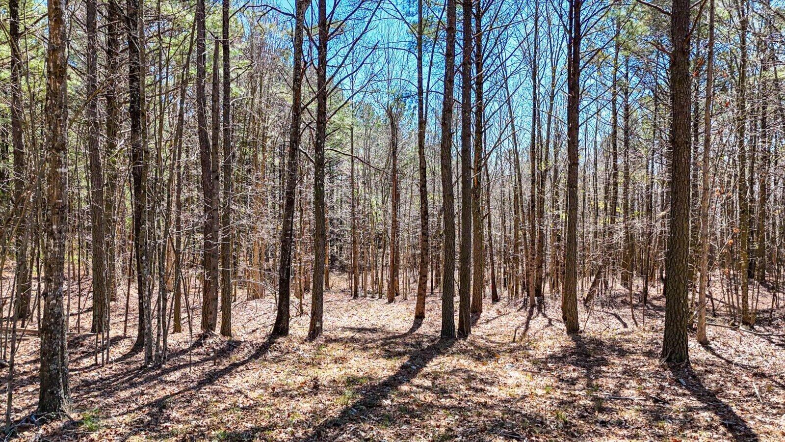 0 Slow Time Street Guild, TN 37340 - Photo 9 of 28 16-2103 Slow Time st-16