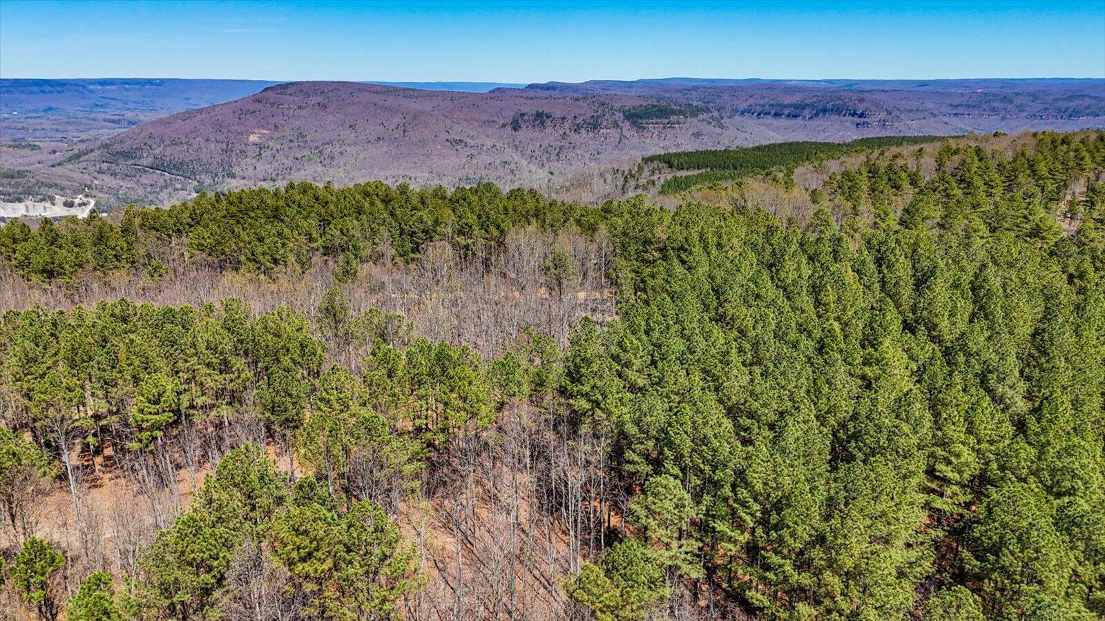 0 Slow Time Street Guild, TN 37340 - Photo 10 of 28 05-2103 Slow Time st-5