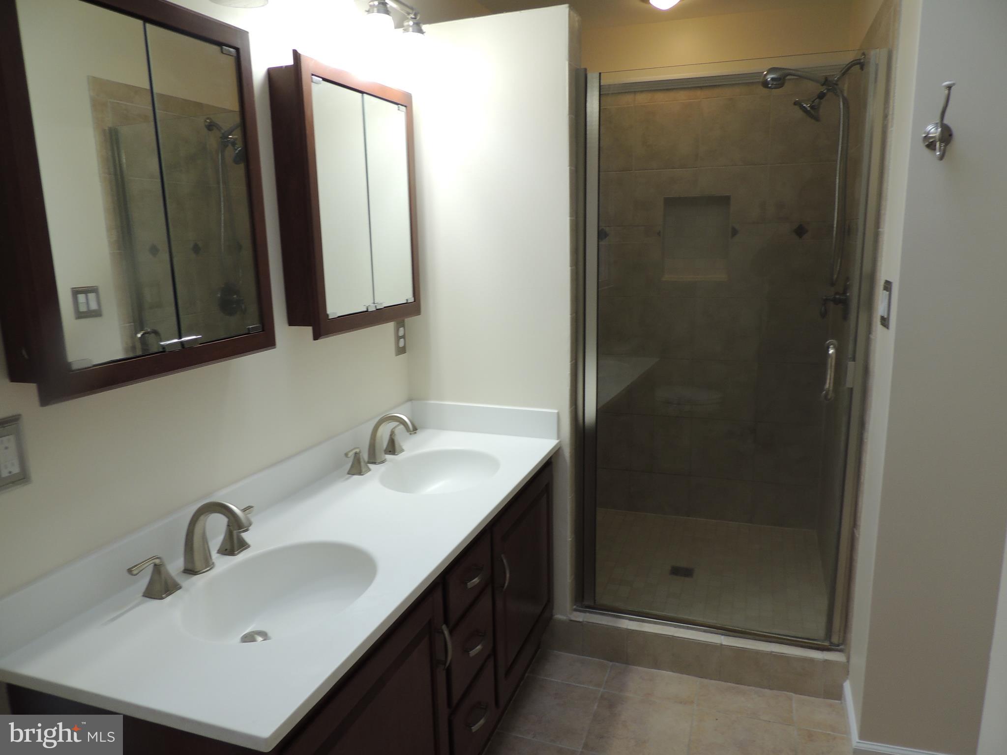 518 Arrowhead Trail Sinking Spring, PA 19608 - Photo 40 of 63 master bath