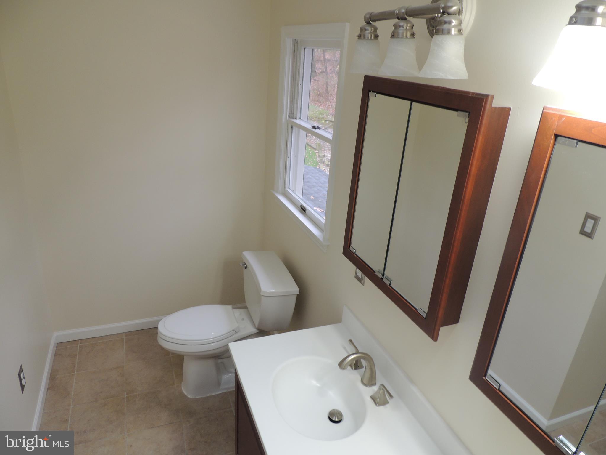 518 Arrowhead Trail Sinking Spring, PA 19608 - Photo 41 of 63 common bathrrom