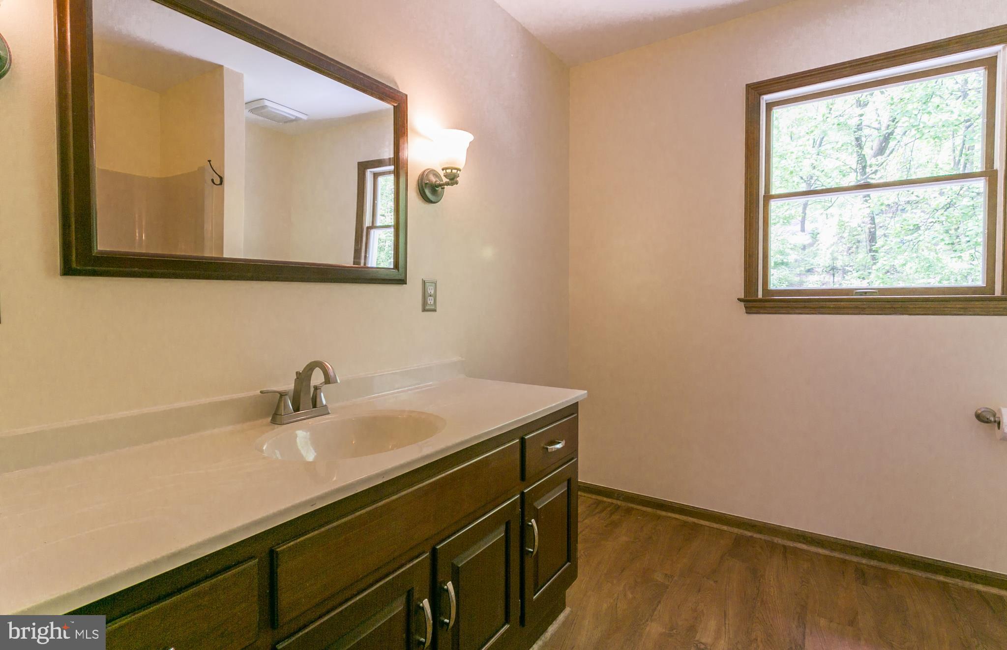 518 Arrowhead Trail Sinking Spring, PA 19608 - Photo 48 of 63 common bathroom