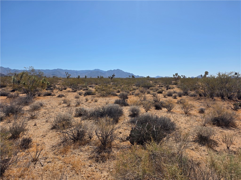 244 South 09-171/2 S Nash Road Yucca, AZ 86438 - Photo 4 of 11