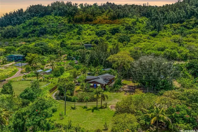 a view of a garden with a bench and trees