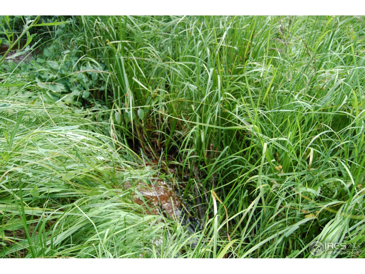 Running water creek
