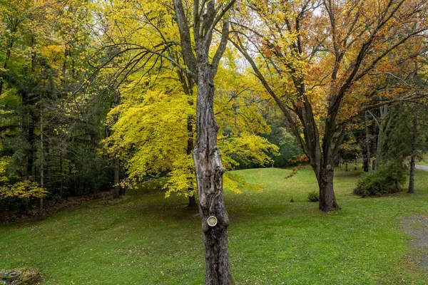 $479,000 | 1089 65th Avenue, Unit F, Amery, WI 54001