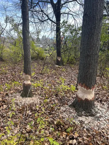 $479,000 | 1089 65th Avenue, Unit F, Amery, WI 54001