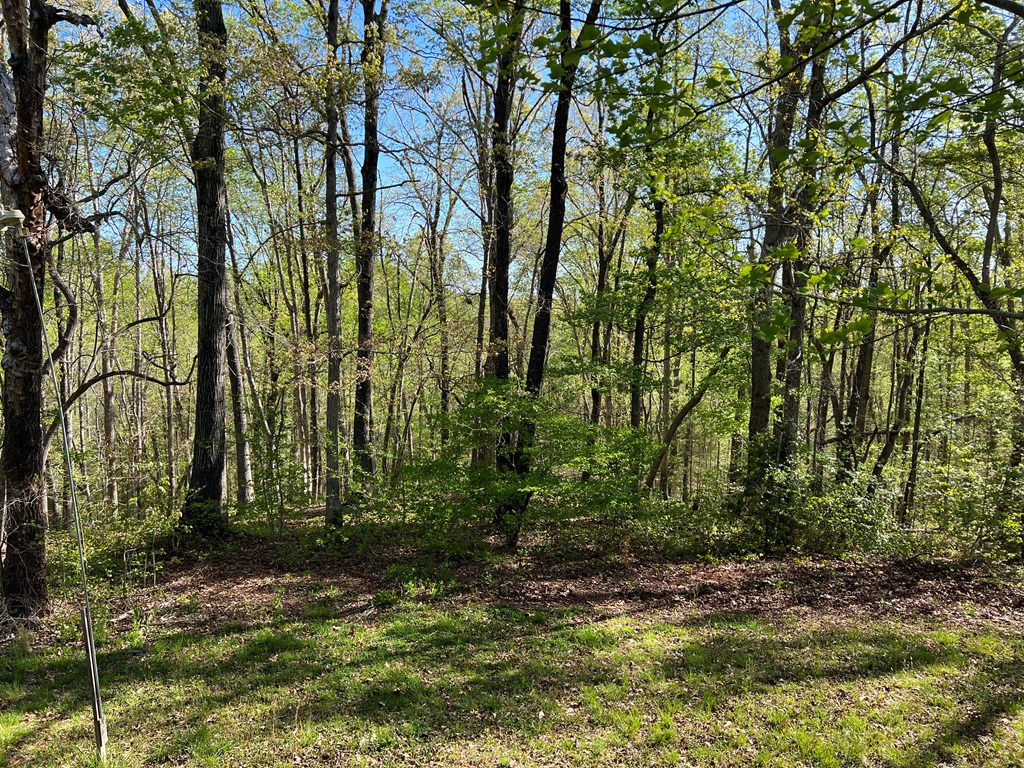 810 State Rd S-24-93 Donalds, SC 29638 - Photo 21 of 24