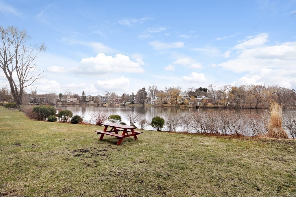 34 Hamilton Road, Unit 209 Arlington, MA 02474 - Photo 31 of 34 Gallery Image 31