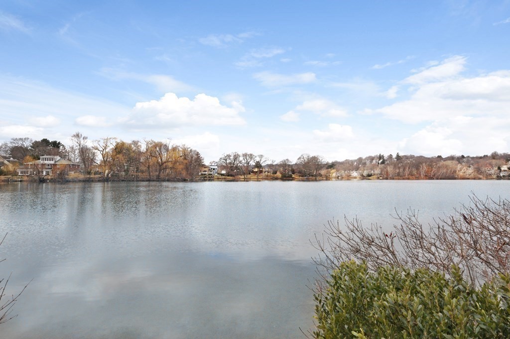 34 Hamilton Road, Unit 209 Arlington, MA 02474 - Photo 33 of 34 Gallery Image 33