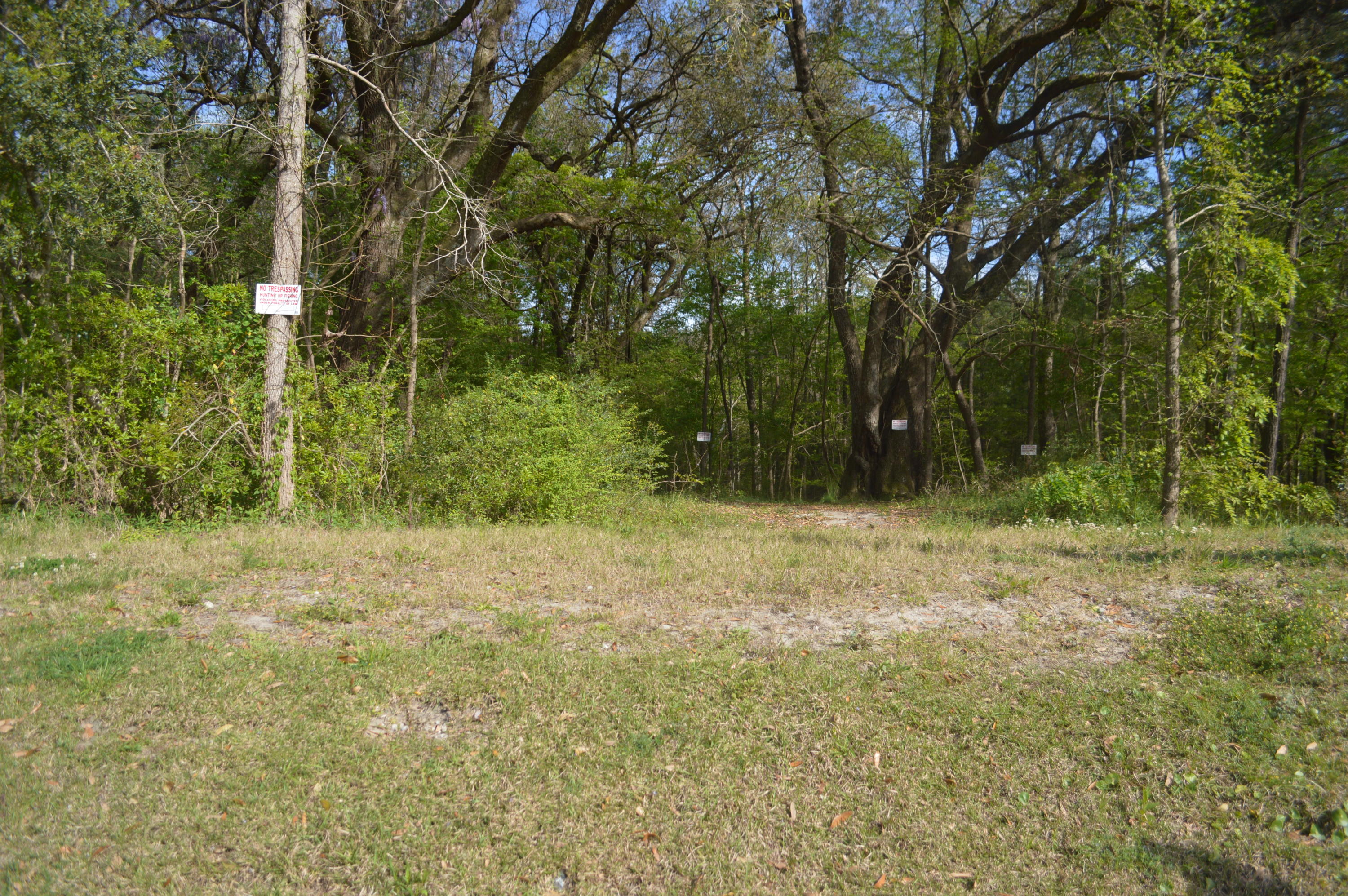 105 Whaler Road Summerville, SC 29485 - Photo 39 of 40 Park over view