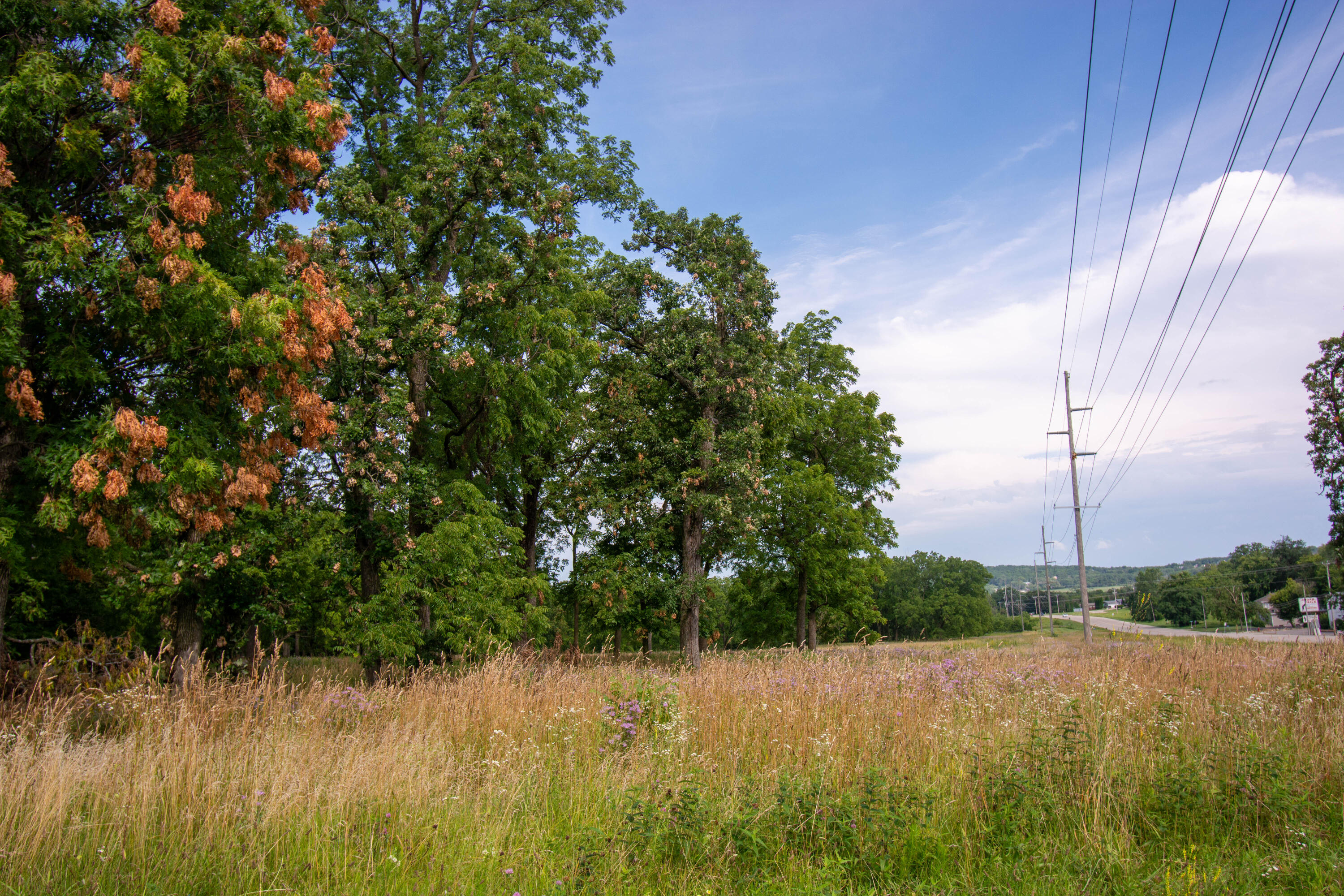 Lt20 Lt20 Springfield Road Geneva, WI 53147 - Photo 4 of 13 View from Springfield Rd
