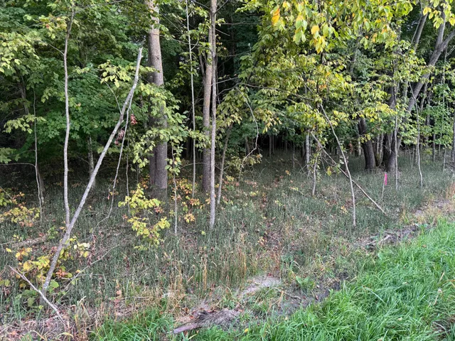 $134,000 | Lot 2-tbd Northeast Rock Lake Road, Rochert, MN 56578