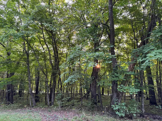 $134,000 | Lot 2-tbd Northeast Rock Lake Road, Rochert, MN 56578