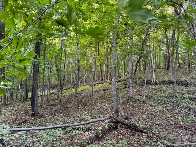 $134,000 | Lot 2-tbd Northeast Rock Lake Road, Rochert, MN 56578