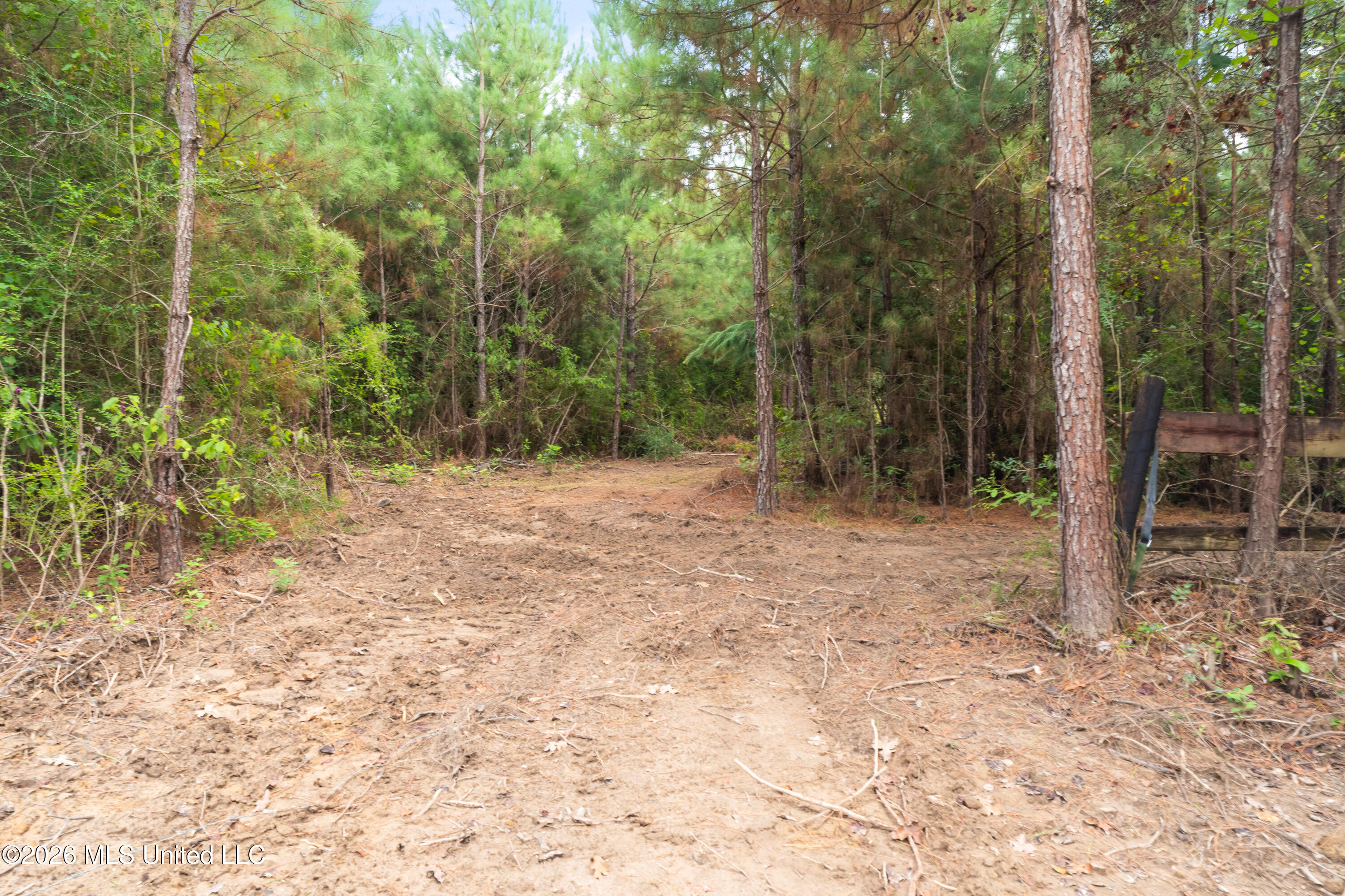 2705 Pilgrims Rest Road Magnolia, MS 39652 - Photo 22 of 68 2629_Pilgrims_Rest_Rd_Lot_2-3