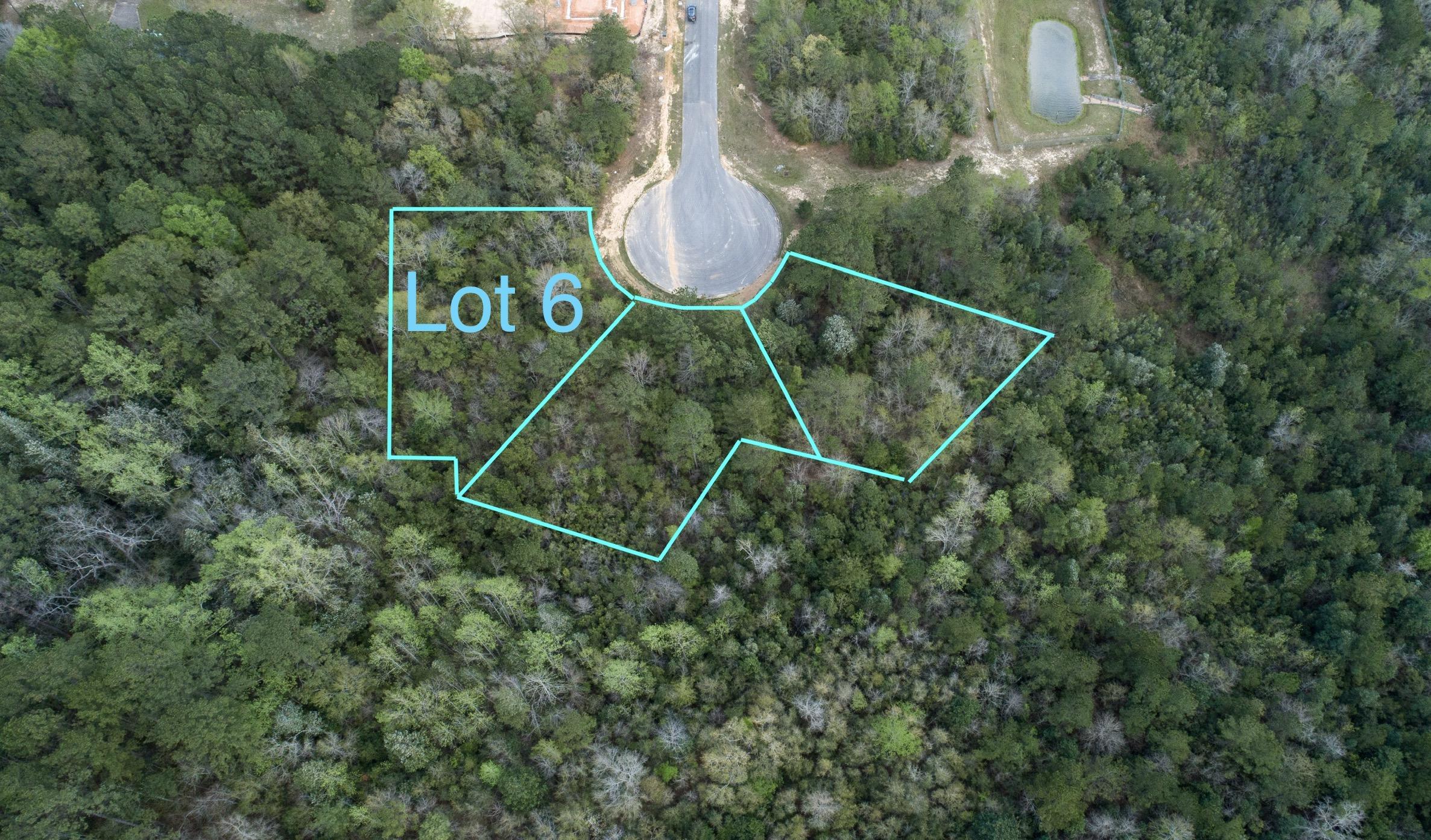 Lot 6 Marigold Loop Crestview, FL 32539 - Photo 1 of 20 Lot 6