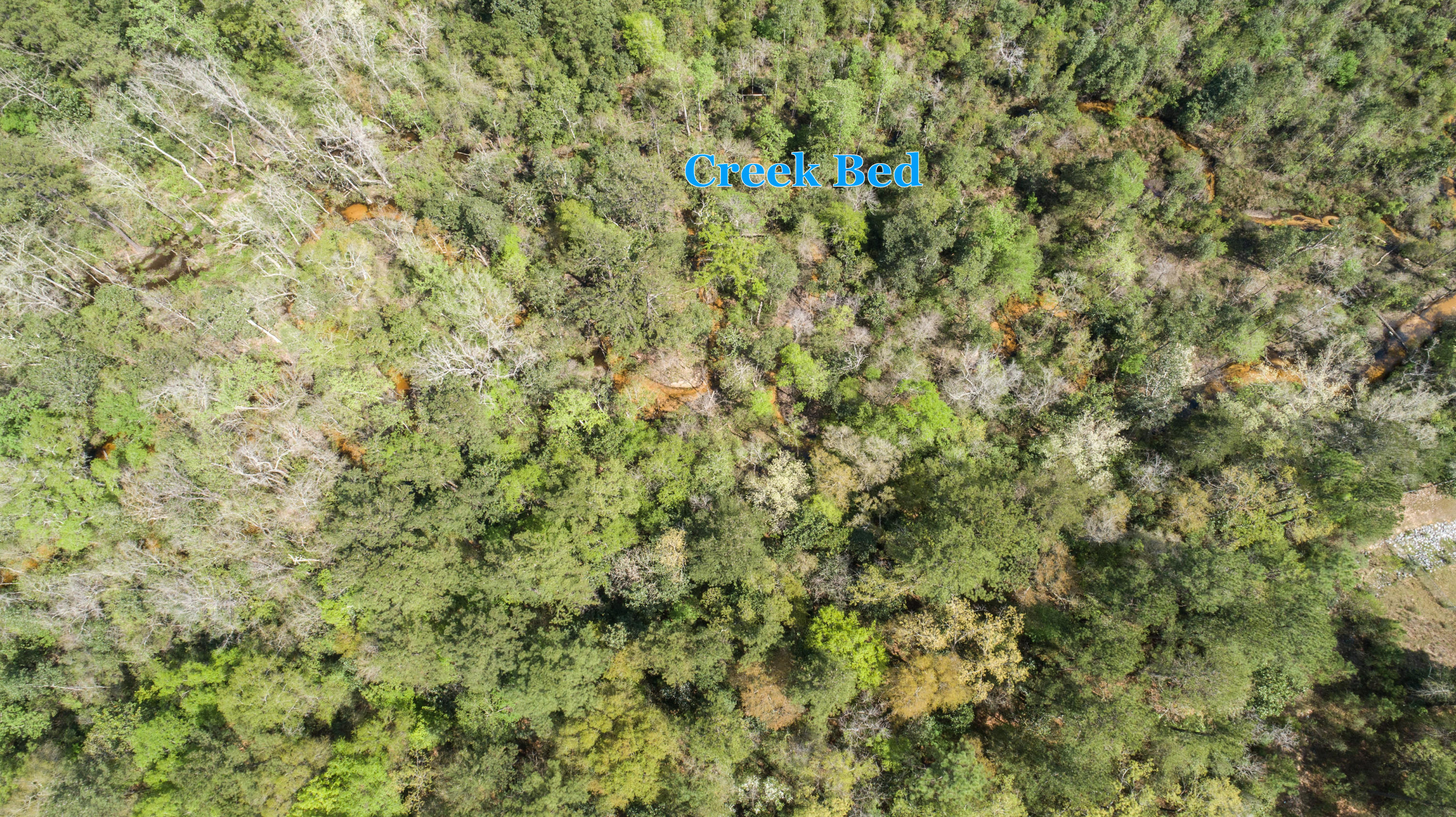 Lot 6 Marigold Loop Crestview, FL 32539 - Photo 16 of 20 DJI_0199-Edit