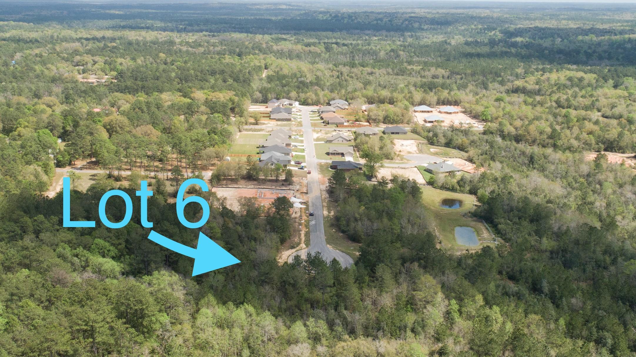 Lot 6 Marigold Loop Crestview, FL 32539 - Photo 2 of 20 zoom6