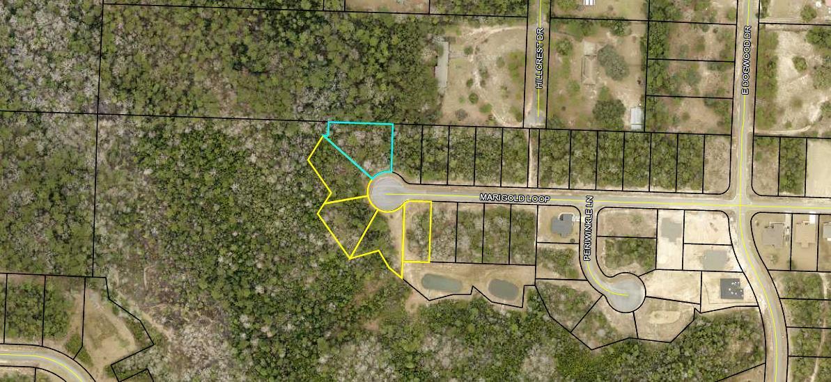 Lot 6 Marigold Loop Crestview, FL 32539 - Photo 4 of 20 Lot6