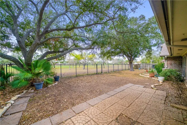 a view of a backyard
