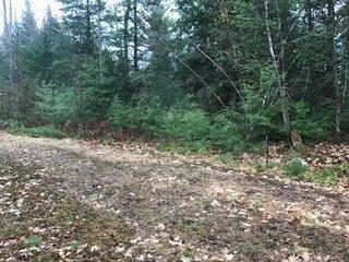 Lot 17 Pratt Road Parsonsfield, ME 04047 - Photo 1 of 3 Photo