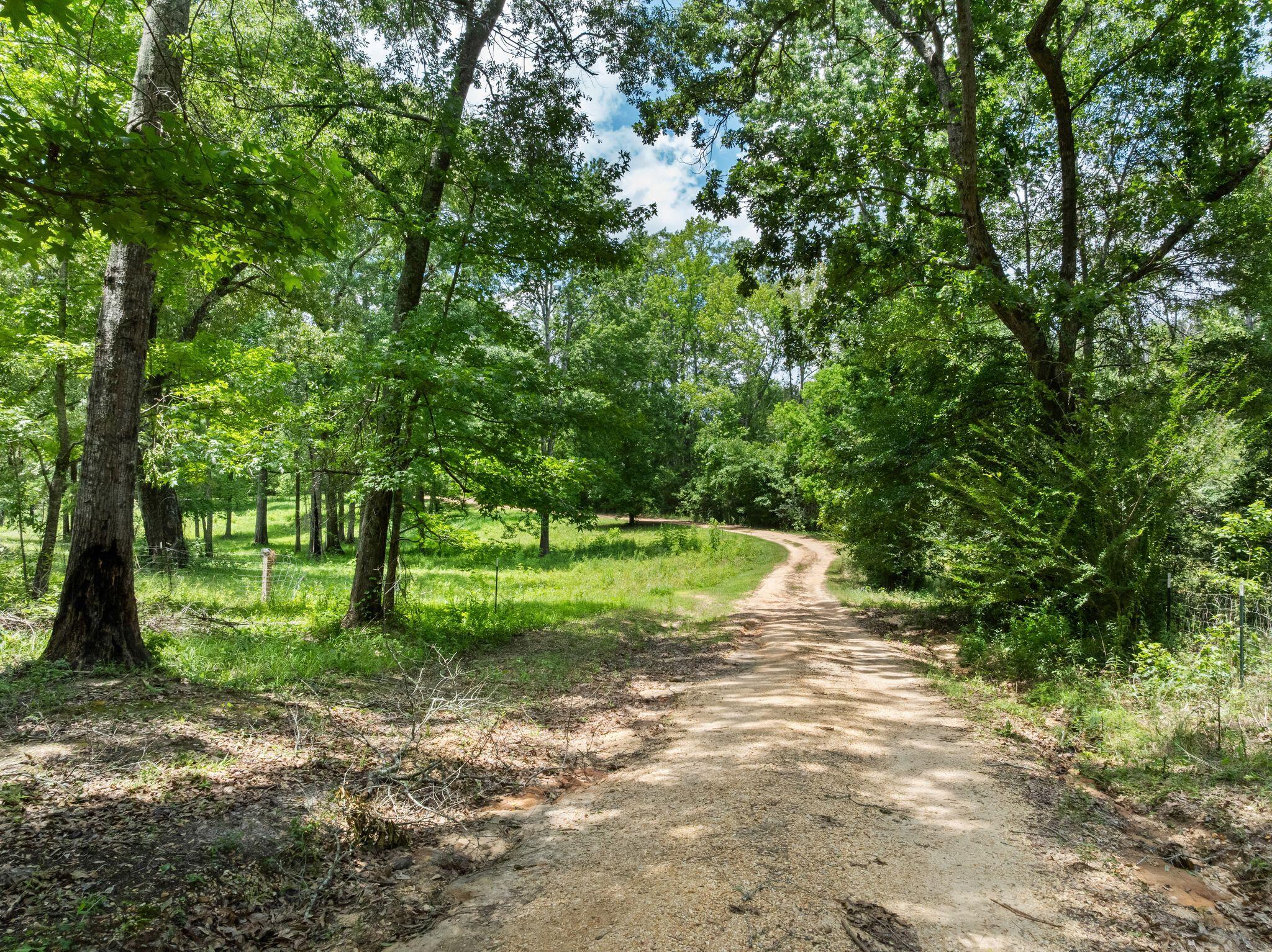 798 Purvis Oloh Road Purvis, MS 39475 - Photo 6 of 67 798_Purvis_Oloh_Road-4