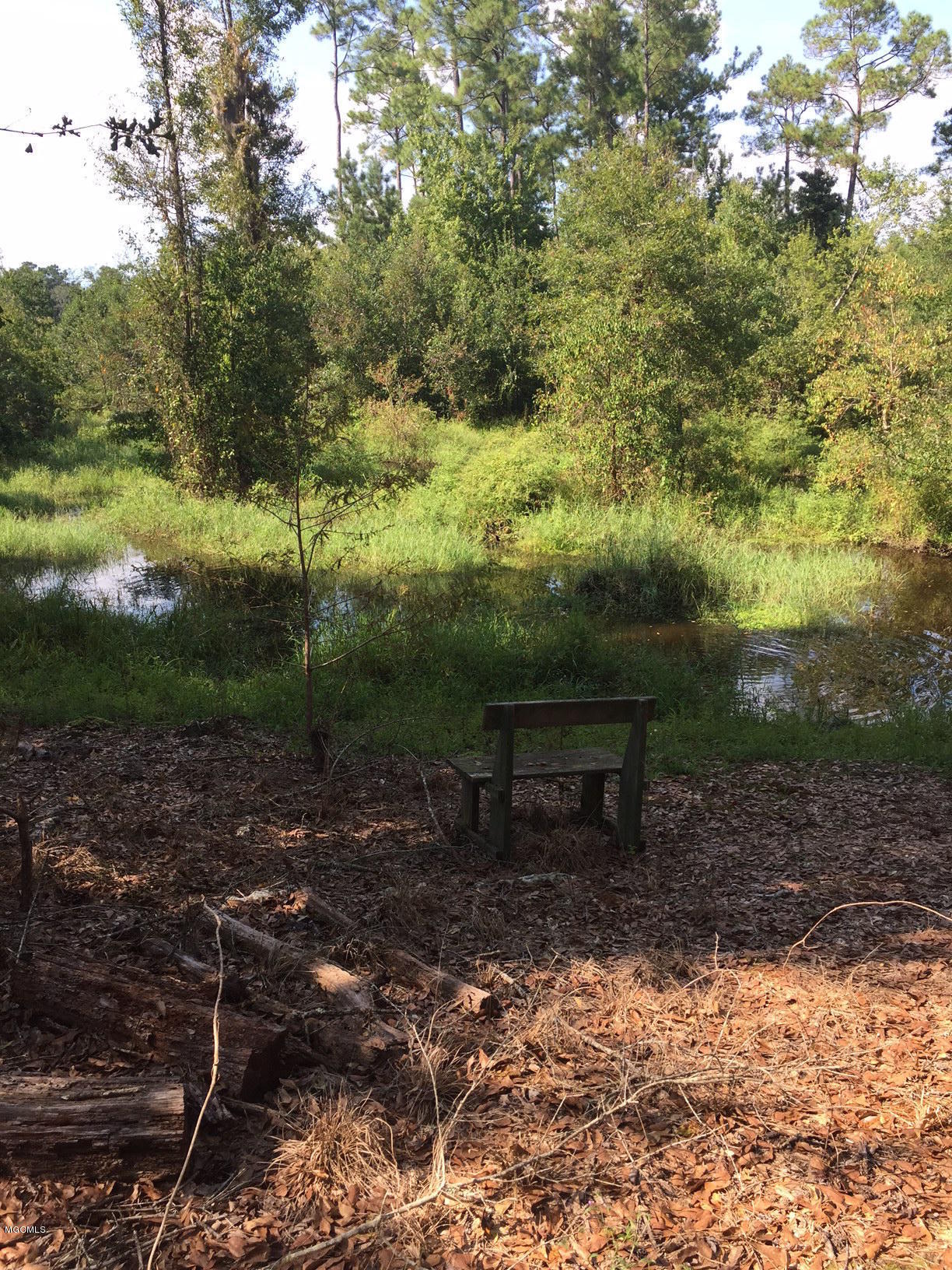 16103 Sister Mary Ellen Road Kiln, MS 39556 - Photo 10 of 10 SME Rd 10