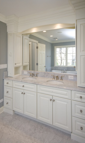420 Washington Street Glenview, IL 60025 - Photo 11 of 17 a bathroom with a sink and a mirror