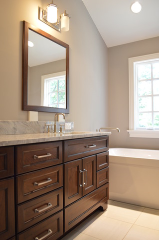 420 Washington Street Glenview, IL 60025 - Photo 10 of 17 a bathroom with a sink vanity and a mirror
