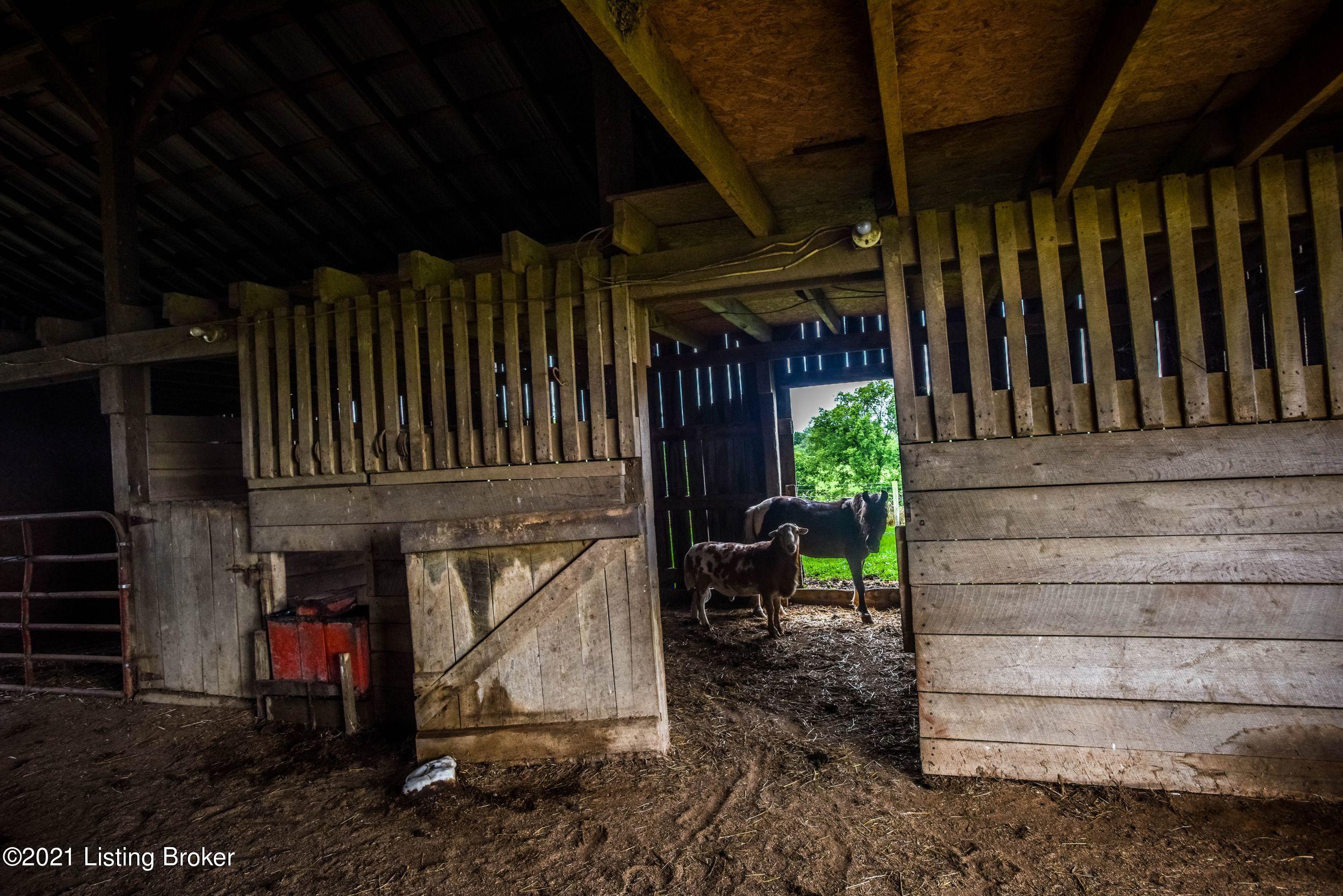 4740 Bloomfield Road Bardstown, KY 40004 - Photo 64 of 76 Z4KRMjDQ