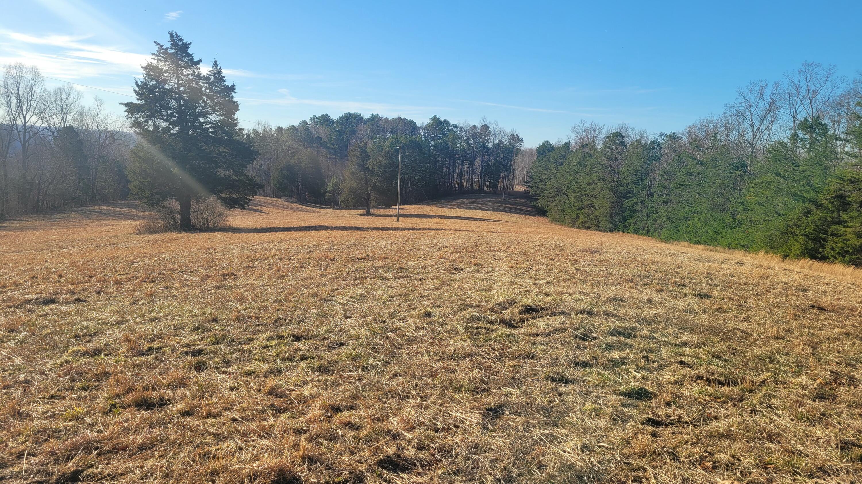 1330 Pea Ridge Road Somerset, KY 42501 - Photo 1 of 14 20250203_094904