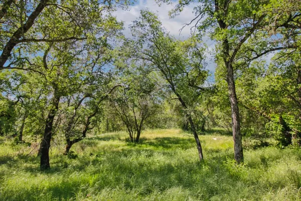 a view of yard with green space